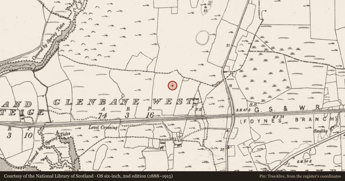 Ordnance Survey six-inch map, 2nd edition (1888–1915) covering the location of Fulacht fia, Glenbane West, County Limerick, with a pin at the register's coordinates