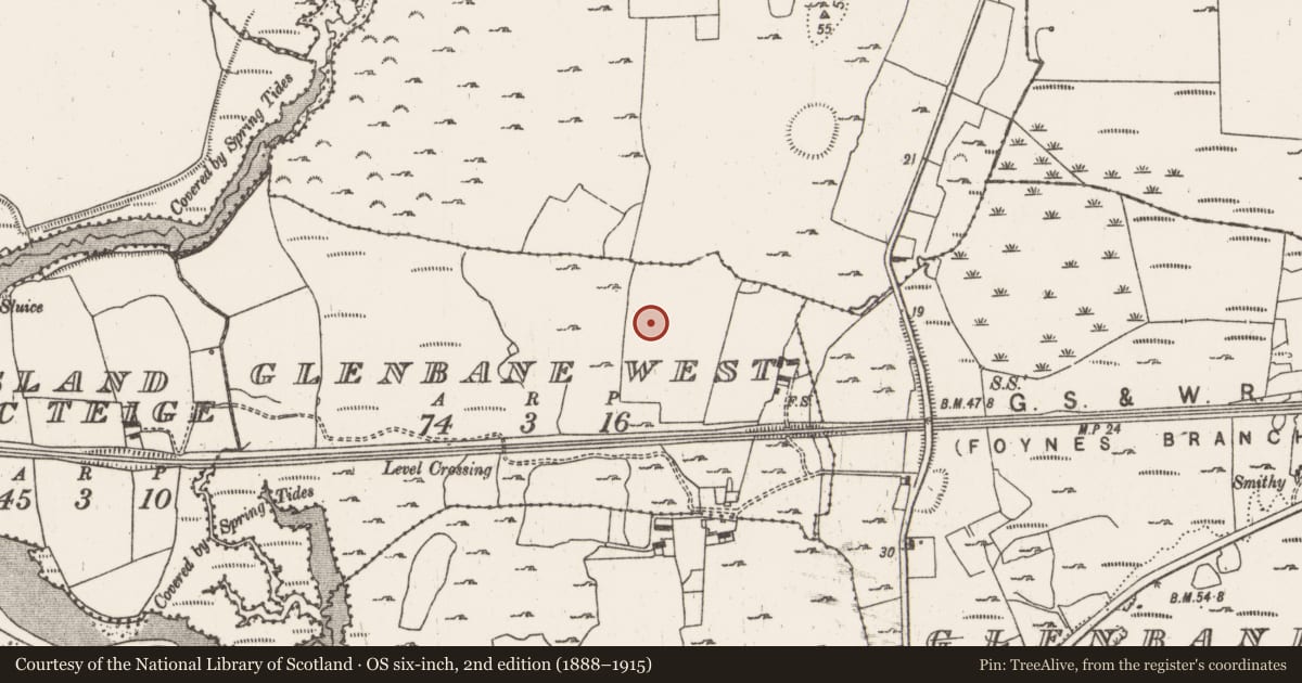 Ordnance Survey six-inch map, 2nd edition (1888–1915) covering the location of Cremation pit, Glenbane West, County Limerick, with a pin at the register's coordinates