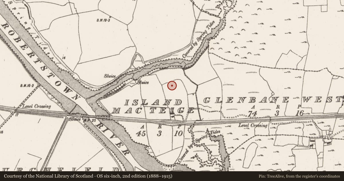 Ordnance Survey six-inch map, 2nd edition (1888–1915) covering the location of Charcoal-making site, Island Mcteige, County Limerick, with a pin at the register's coordinates