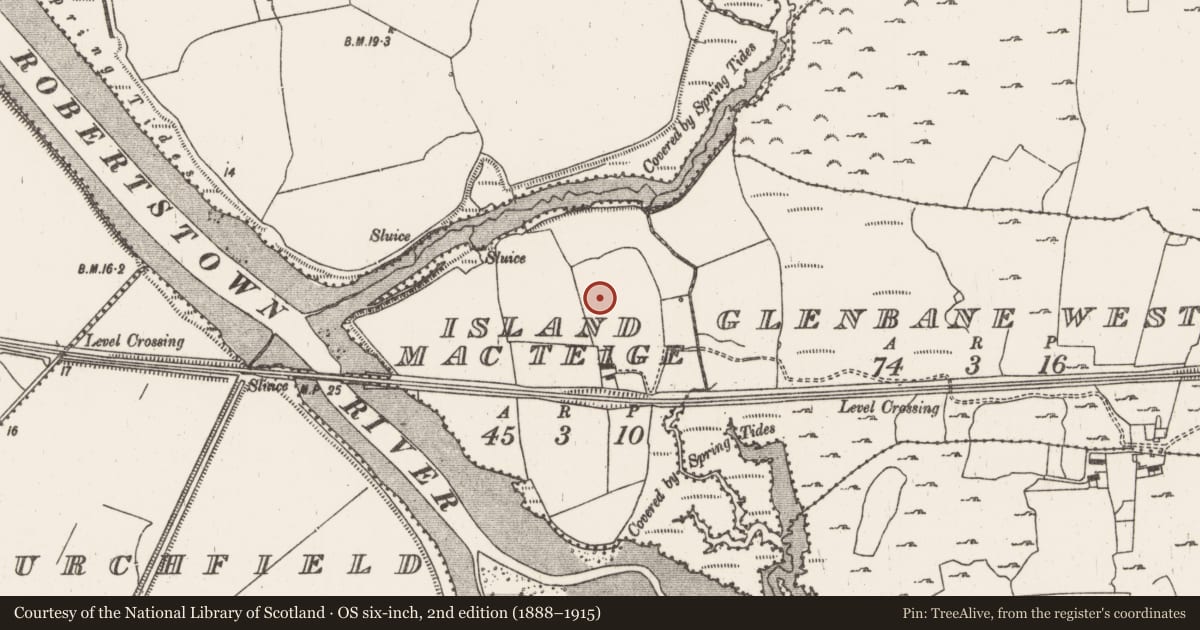 Ordnance Survey six-inch map, 2nd edition (1888–1915) covering the location of Charcoal-making site, Island Mcteige, County Limerick, with a pin at the register's coordinates