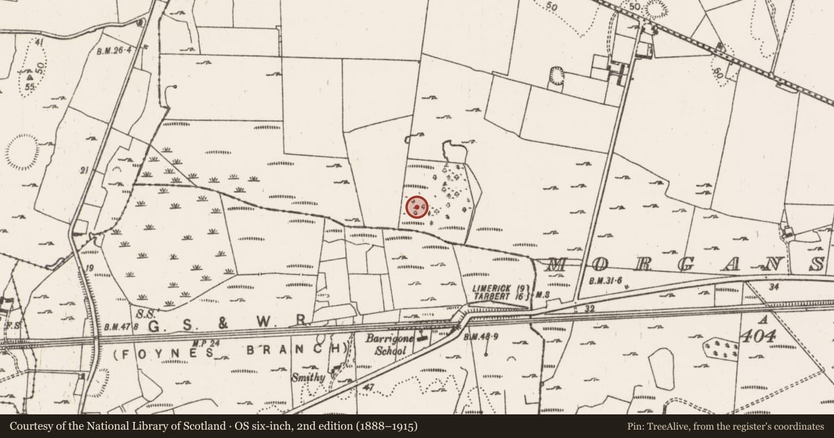 Ordnance Survey six-inch map, 2nd edition (1888–1915) covering the location of Earthwork, Morgans South, County Limerick, with a pin at the register's coordinates
