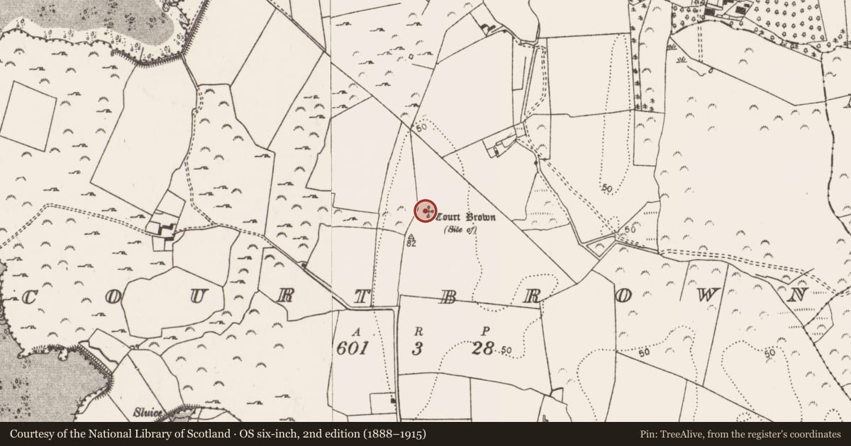 Ordnance Survey six-inch map, 2nd edition (1888–1915) covering the location of House - fortified house, Courtbrown, County Limerick, with a pin at the register's coordinates
