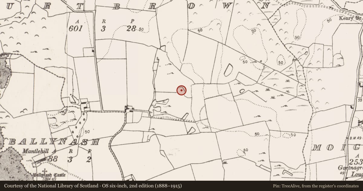 Ordnance Survey six-inch map, 2nd edition (1888–1915) covering the location of Ringfort - rath, Courtbrown, County Limerick, with a pin at the register's coordinates