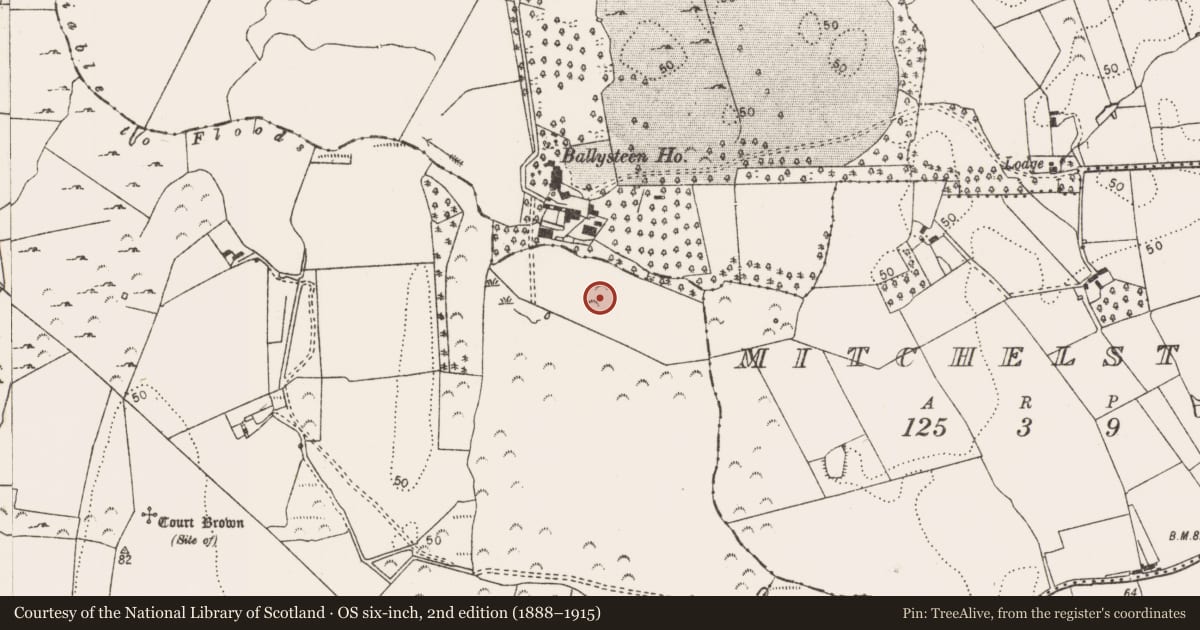 Ordnance Survey six-inch map, 2nd edition (1888–1915) covering the location of Ringfort - rath, Courtbrown, County Limerick, with a pin at the register's coordinates
