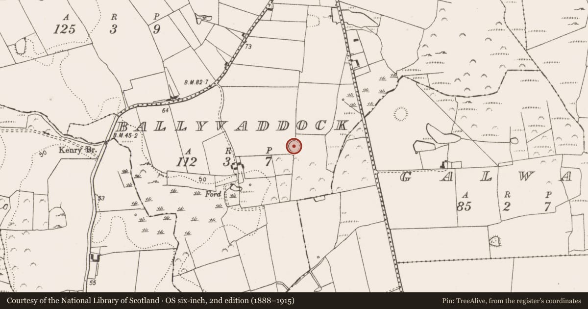 Ordnance Survey six-inch map, 2nd edition (1888–1915) covering the location of Ringfort - rath, Ballyvaddock, County Limerick, with a pin at the register's coordinates
