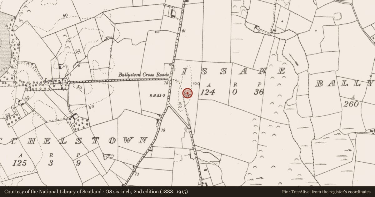 Ordnance Survey six-inch map, 2nd edition (1888–1915) covering the location of Ringfort - rath, Issane, County Limerick, with a pin at the register's coordinates