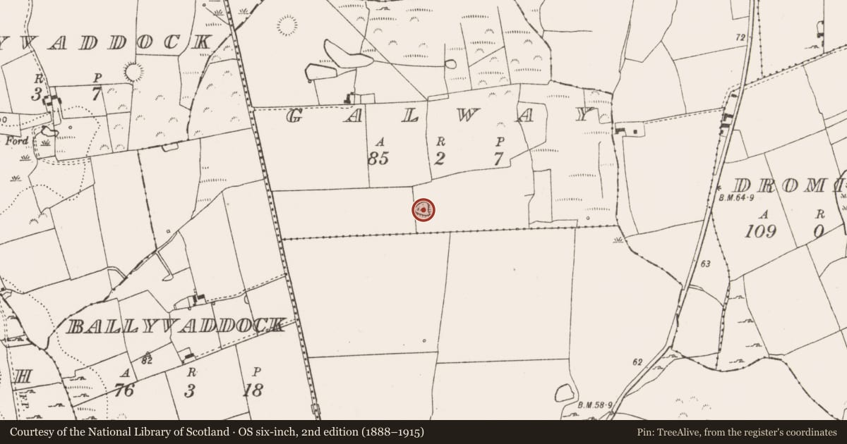 Ordnance Survey six-inch map, 2nd edition (1888–1915) covering the location of Ringfort - rath, Galway, County Limerick, with a pin at the register's coordinates