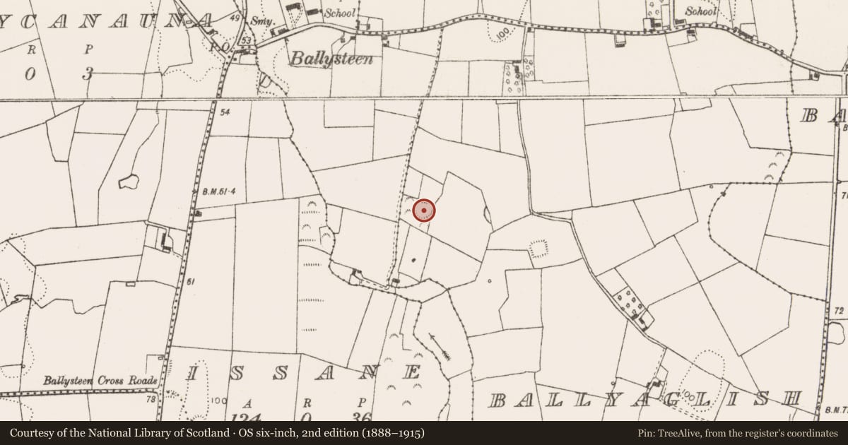 Ordnance Survey six-inch map, 2nd edition (1888–1915) covering the location of Ringfort - rath, Ballyaglish, County Limerick, with a pin at the register's coordinates