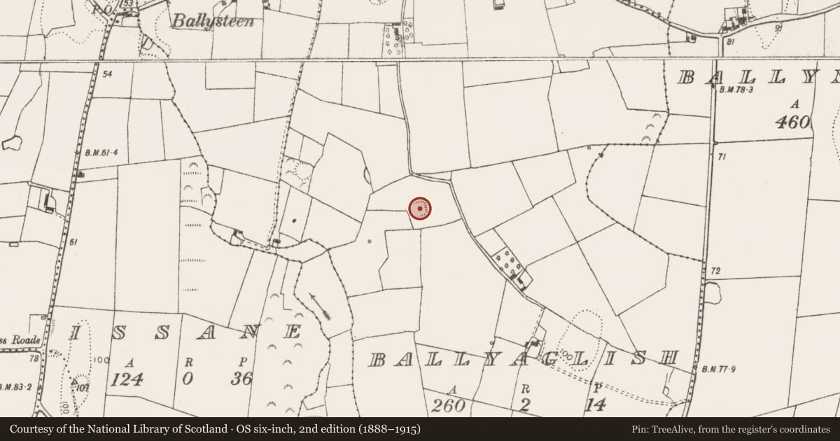 Ordnance Survey six-inch map, 2nd edition (1888–1915) covering the location of Enclosure, Ballyaglish, County Limerick, with a pin at the register's coordinates