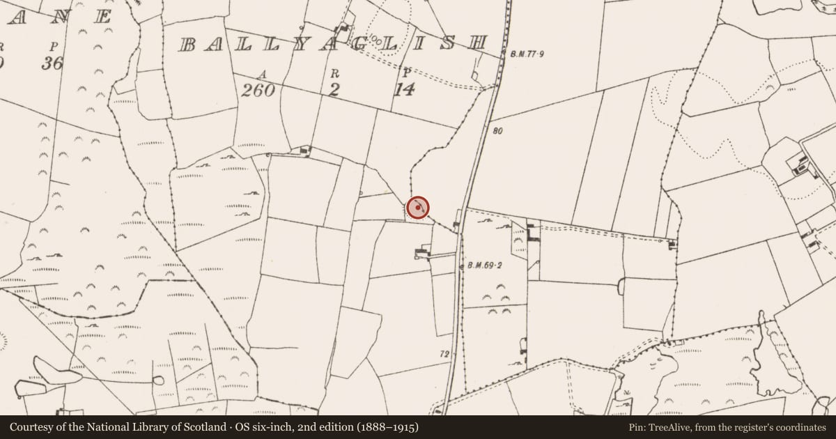 Ordnance Survey six-inch map, 2nd edition (1888–1915) covering the location of Ringfort - rath, Ballyaglish, County Limerick, with a pin at the register's coordinates