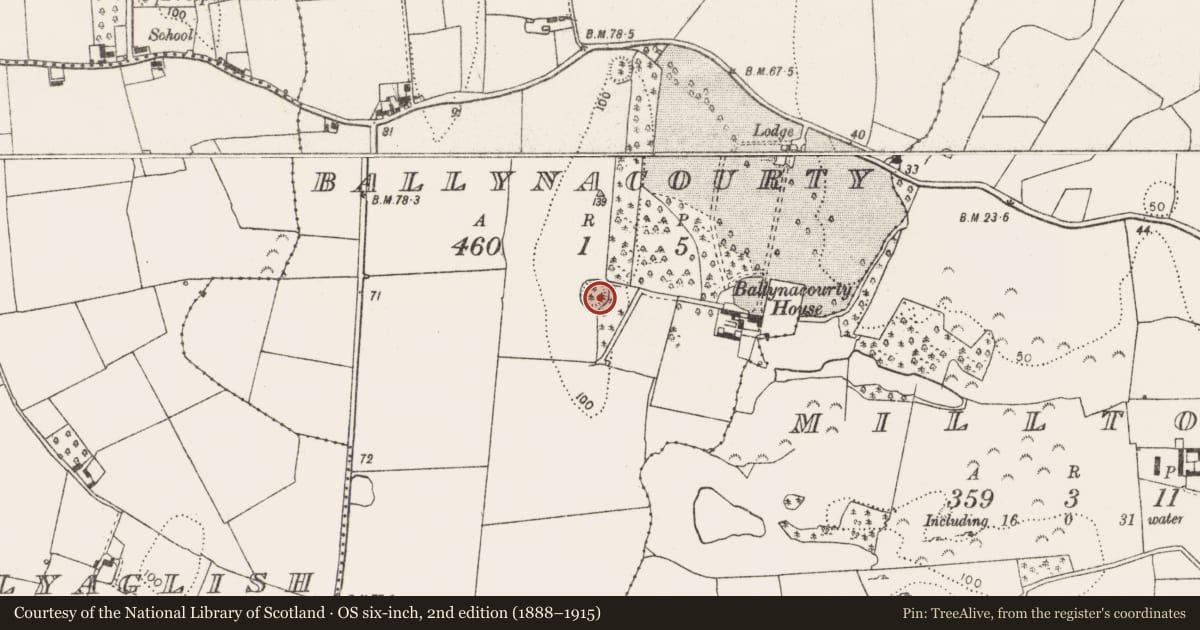 Ordnance Survey six-inch map, 2nd edition (1888–1915) covering the location of Ringfort - rath, Ballynacourty, County Limerick, with a pin at the register's coordinates