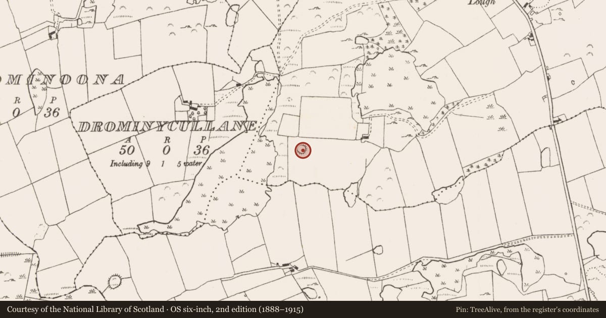 Ordnance Survey six-inch map, 2nd edition (1888–1915) covering the location of Ringfort - rath, Newtown, County Limerick, with a pin at the register's coordinates