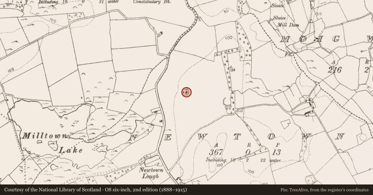 Ordnance Survey six-inch map, 2nd edition (1888–1915) covering the location of Ringfort - rath, Newtown, County Limerick, with a pin at the register's coordinates