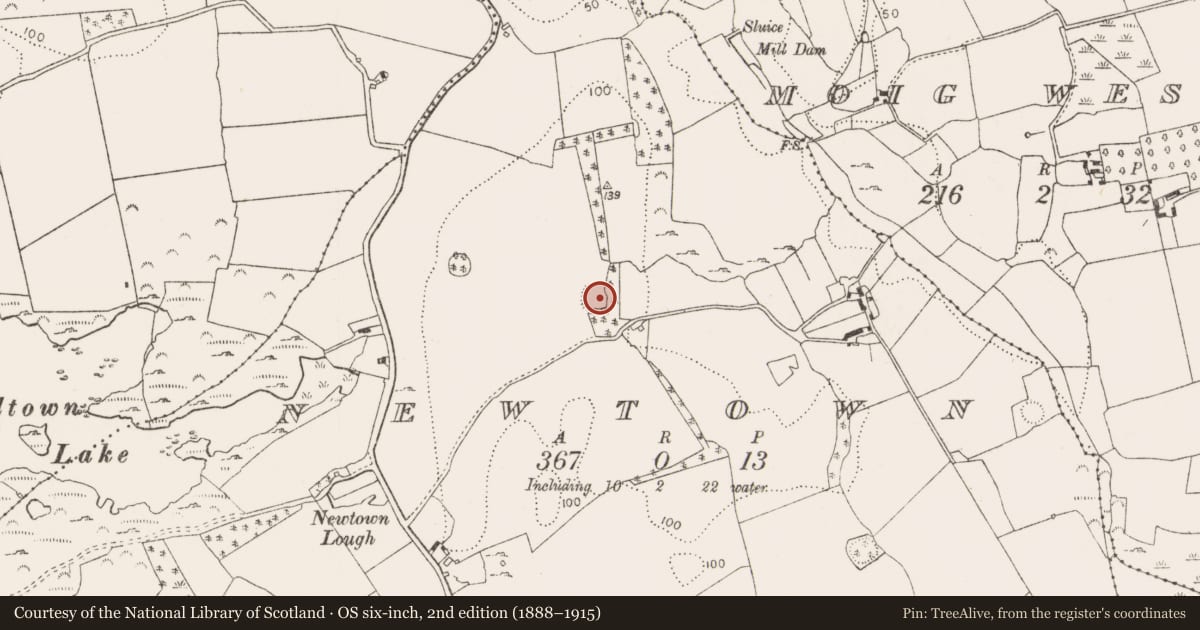 Ordnance Survey six-inch map, 2nd edition (1888–1915) covering the location of Ringfort - rath, Newtown, County Limerick, with a pin at the register's coordinates