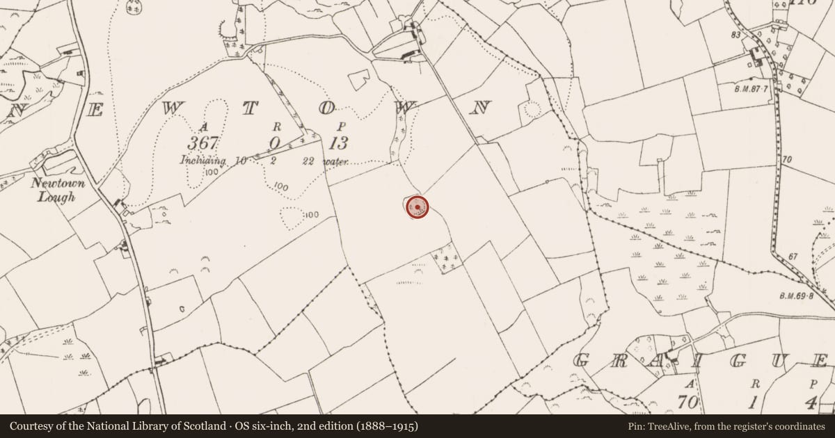 Ordnance Survey six-inch map, 2nd edition (1888–1915) covering the location of Ringfort - rath, Newtown, County Limerick, with a pin at the register's coordinates