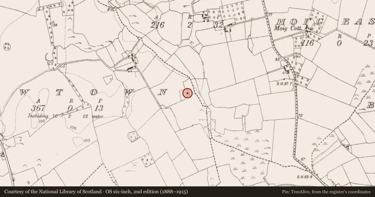 Ordnance Survey six-inch map, 2nd edition (1888–1915) covering the location of Ringfort - rath, Newtown, County Limerick, with a pin at the register's coordinates