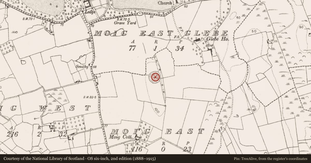 Ordnance Survey six-inch map, 2nd edition (1888–1915) covering the location of Ringfort - rath, Moig East, County Limerick, with a pin at the register's coordinates