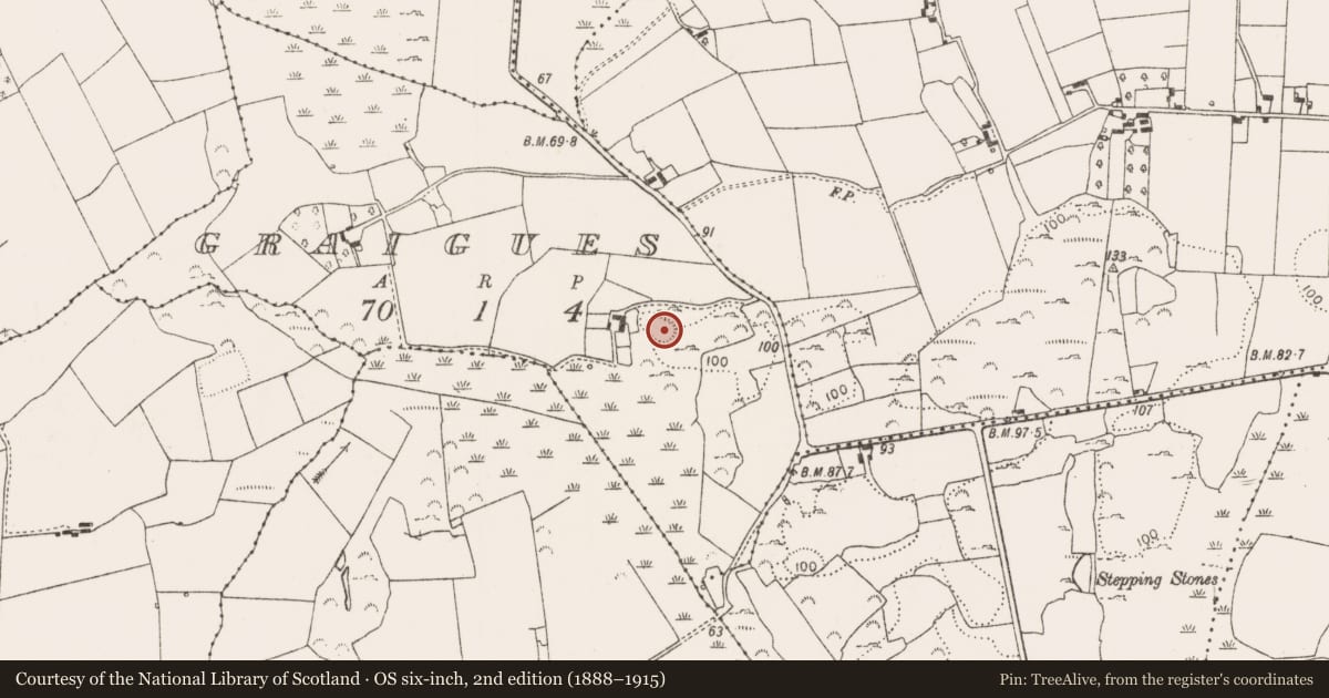 Ordnance Survey six-inch map, 2nd edition (1888–1915) covering the location of Ringfort - cashel, Graigues, County Limerick, with a pin at the register's coordinates