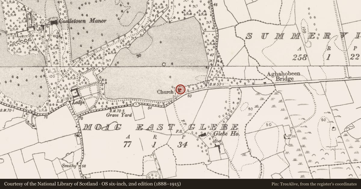 Ordnance Survey six-inch map, 2nd edition (1888–1915) covering the location of Church, Moig East Glebe, County Limerick, with a pin at the register's coordinates