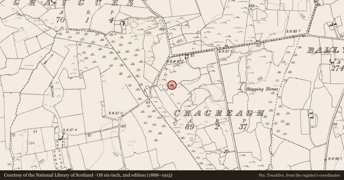 Ordnance Survey six-inch map, 2nd edition (1888–1915) covering the location of Enclosure, Cragreagh, County Limerick, with a pin at the register's coordinates