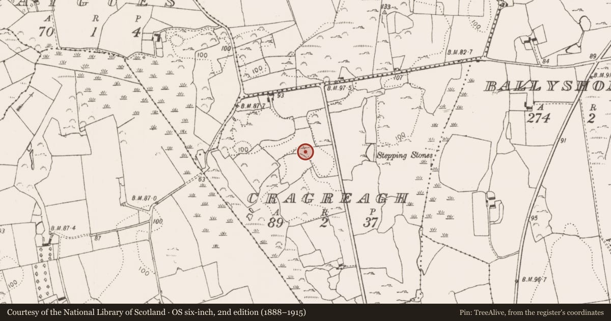 Ordnance Survey six-inch map, 2nd edition (1888–1915) covering the location of Ringfort - rath, Cragreagh, County Limerick, with a pin at the register's coordinates