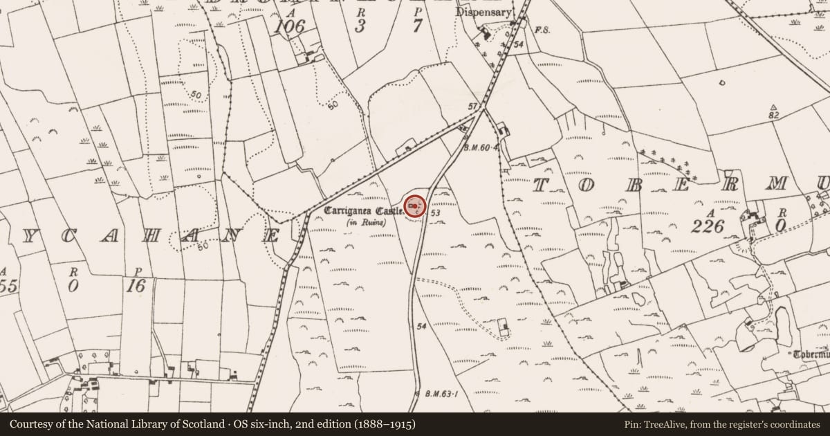 Ordnance Survey six-inch map, 2nd edition (1888–1915) covering the location of Castle - tower house, Ballyshonickbane, County Limerick, with a pin at the register's coordinates