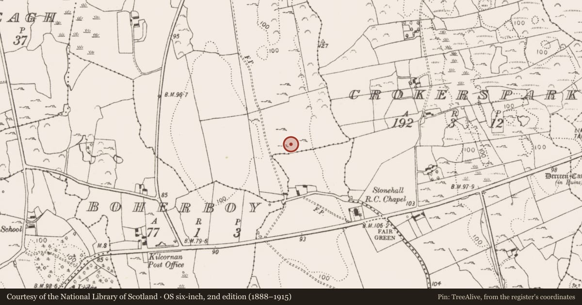 Ordnance Survey six-inch map, 2nd edition (1888–1915) covering the location of Ringfort - rath, Ballyshonickbane, County Limerick, with a pin at the register's coordinates