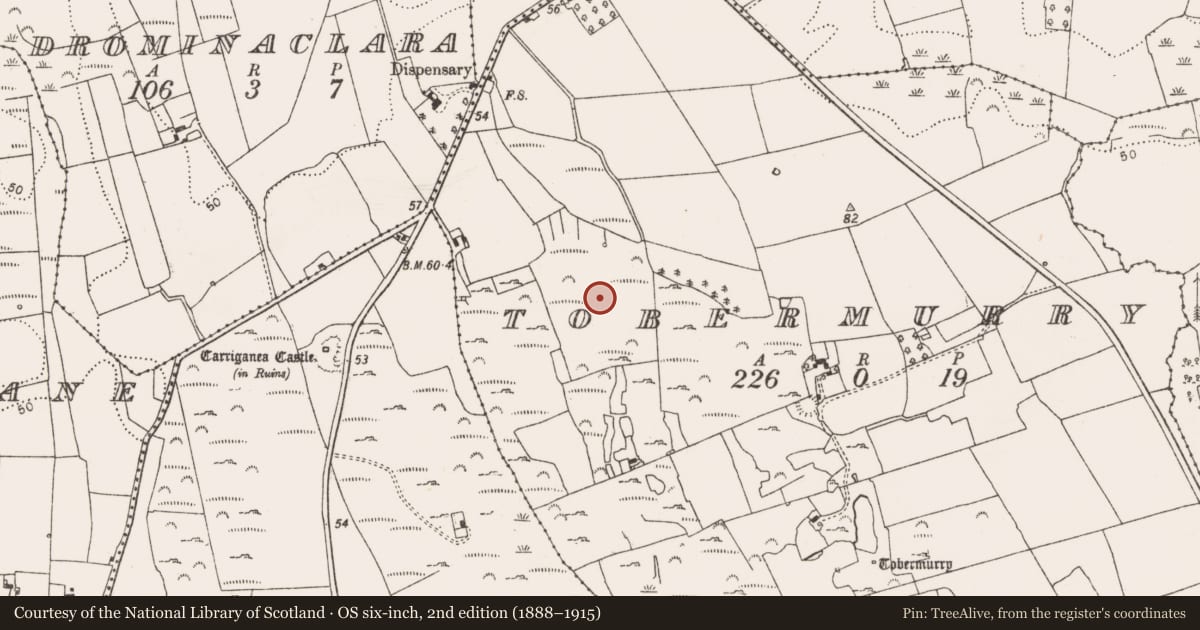 Ordnance Survey six-inch map, 2nd edition (1888–1915) covering the location of Cist, Tobermurry, County Limerick, with a pin at the register's coordinates