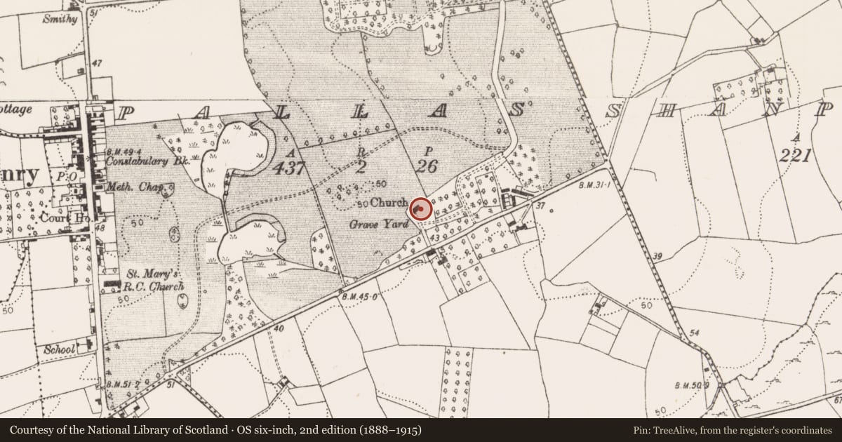 Ordnance Survey six-inch map, 2nd edition (1888–1915) covering the location of Church, Pallas, County Limerick, with a pin at the register's coordinates