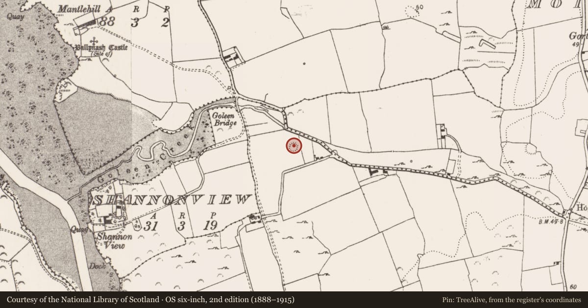 Ordnance Survey six-inch map, 2nd edition (1888–1915) covering the location of Ringfort - rath, Moig South, County Limerick, with a pin at the register's coordinates