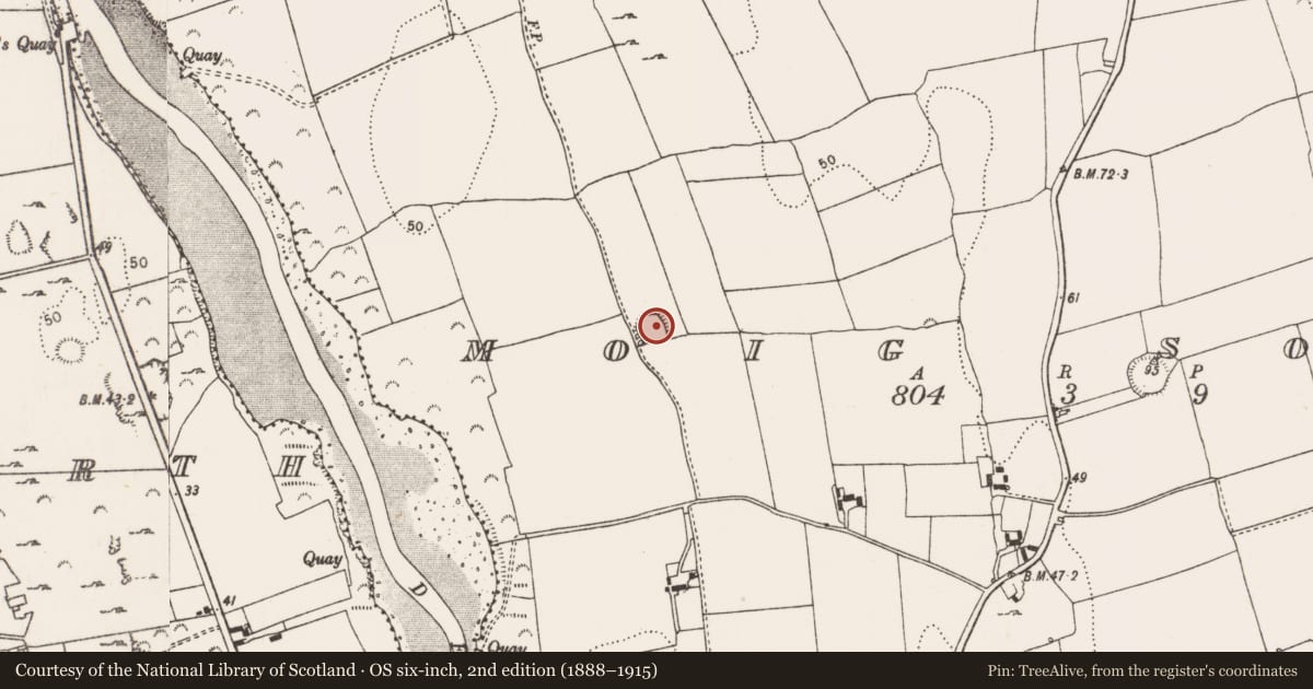 Ordnance Survey six-inch map, 2nd edition (1888–1915) covering the location of Ringfort - rath, Moig South, County Limerick, with a pin at the register's coordinates