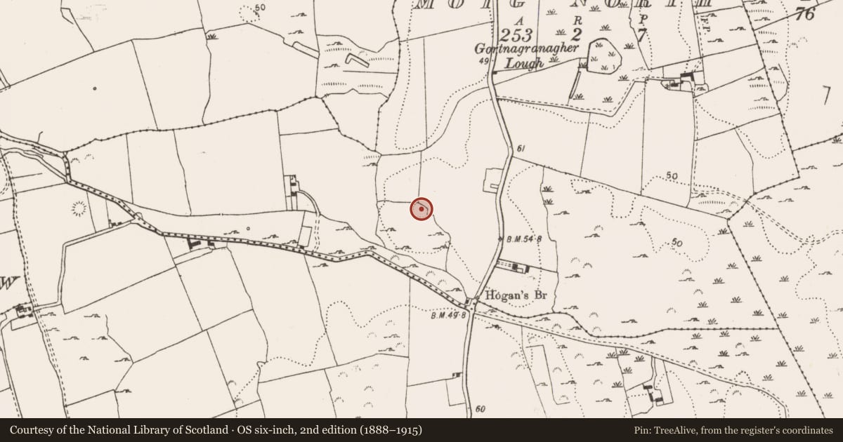 Ordnance Survey six-inch map, 2nd edition (1888–1915) covering the location of Ringfort - rath, Moig North, County Limerick, with a pin at the register's coordinates