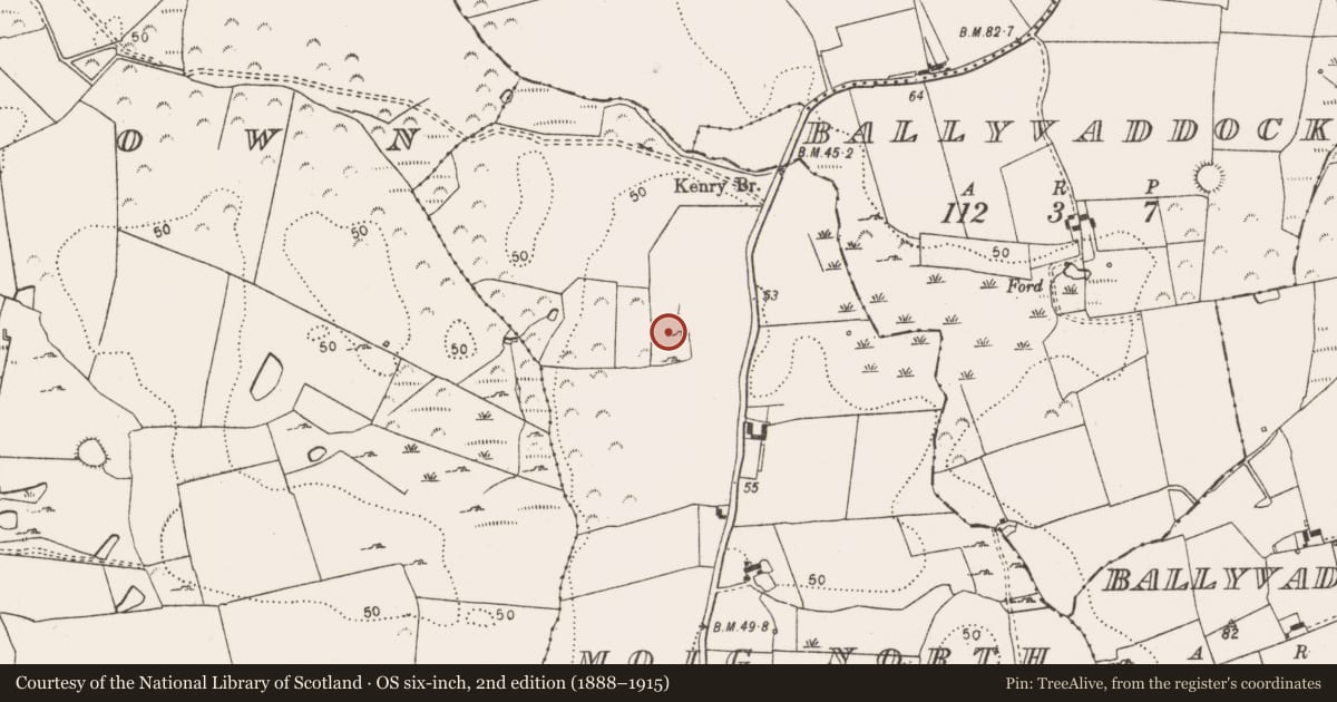 Ordnance Survey six-inch map, 2nd edition (1888–1915) covering the location of Moated site, Moig North, County Limerick, with a pin at the register's coordinates