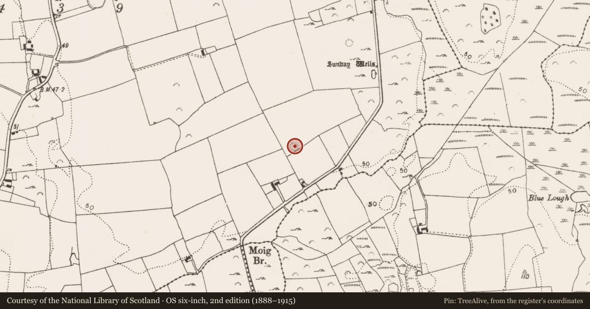 Ordnance Survey six-inch map, 2nd edition (1888–1915) covering the location of Ringfort - rath, Moig South, County Limerick, with a pin at the register's coordinates