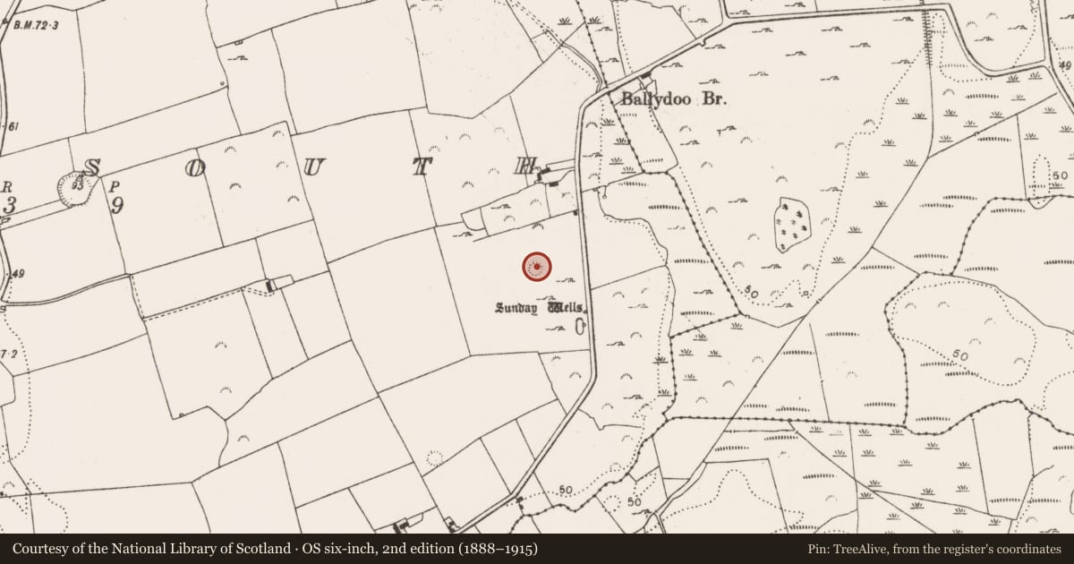 Ordnance Survey six-inch map, 2nd edition (1888–1915) covering the location of Ringfort - rath, Moig South, County Limerick, with a pin at the register's coordinates