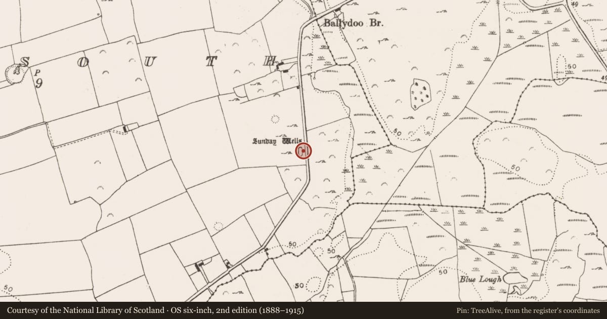 Ordnance Survey six-inch map, 2nd edition (1888–1915) covering the location of Ritual site - holy well, Moig South, County Limerick, with a pin at the register's coordinates