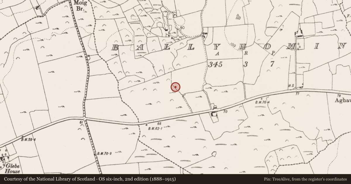 Ordnance Survey six-inch map, 2nd edition (1888–1915) covering the location of Ringfort - rath, Ballyhomin, County Limerick, with a pin at the register's coordinates