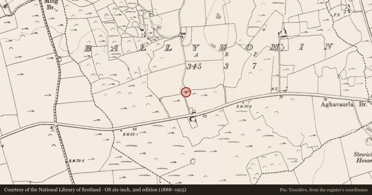 Ordnance Survey six-inch map, 2nd edition (1888–1915) covering the location of Ringfort - rath, Ballyhomin, County Limerick, with a pin at the register's coordinates