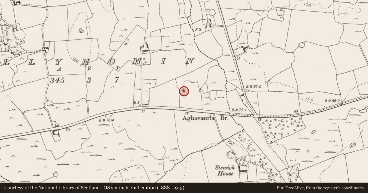 Ordnance Survey six-inch map, 2nd edition (1888–1915) covering the location of Ringfort - rath, Ballyhomin, County Limerick, with a pin at the register's coordinates