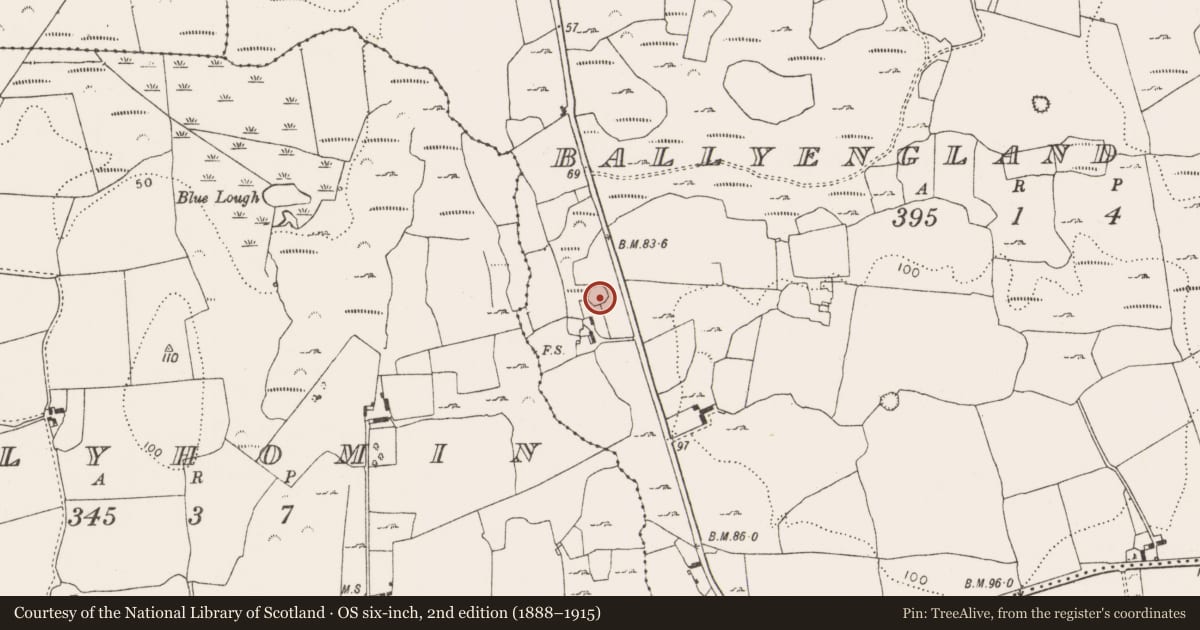 Ordnance Survey six-inch map, 2nd edition (1888–1915) covering the location of Ringfort - rath, Ballyengland Lower, County Limerick, with a pin at the register's coordinates