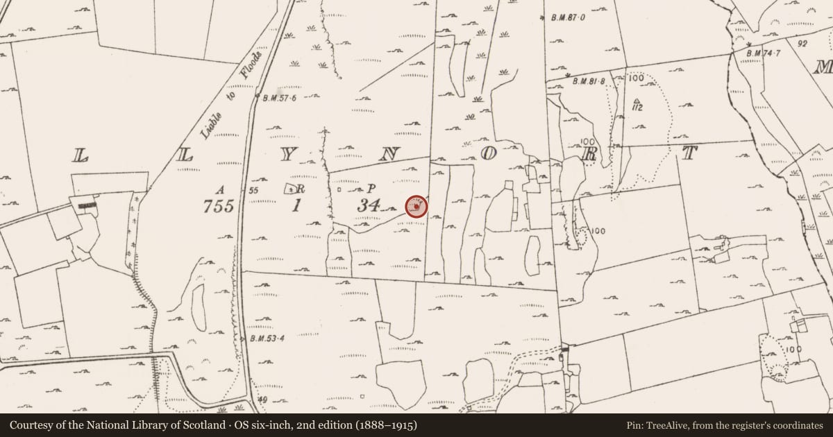Ordnance Survey six-inch map, 2nd edition (1888–1915) covering the location of Ringfort - rath, Ballynort, County Limerick, with a pin at the register's coordinates
