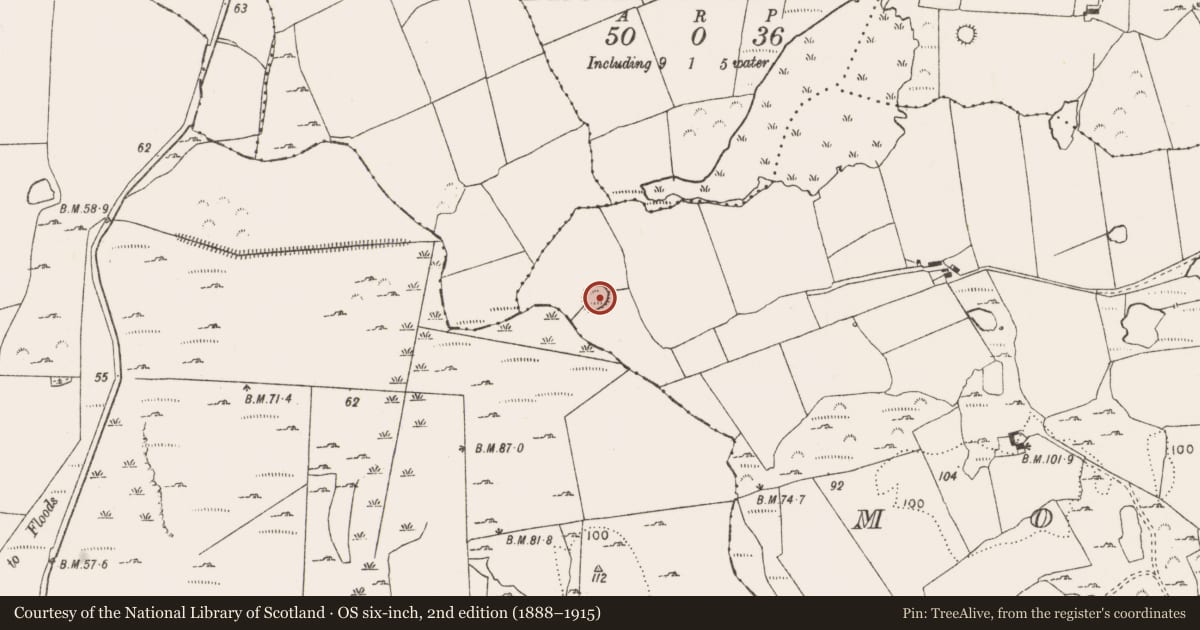 Ordnance Survey six-inch map, 2nd edition (1888–1915) covering the location of Ringfort - rath, Mornane, County Limerick, with a pin at the register's coordinates