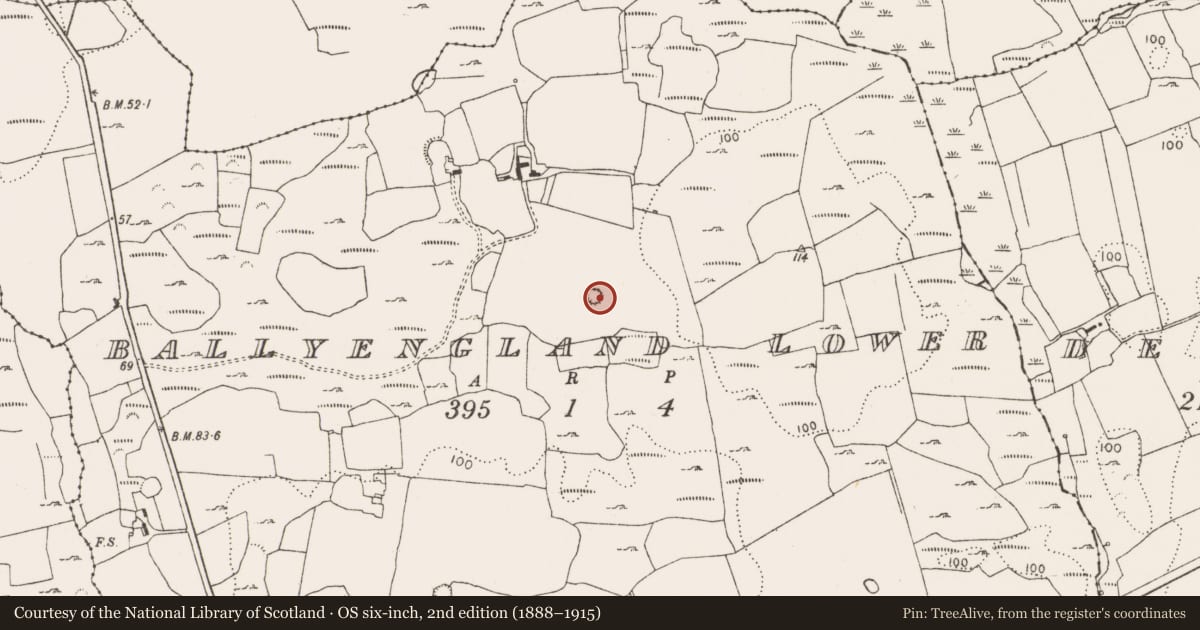 Ordnance Survey six-inch map, 2nd edition (1888–1915) covering the location of Ringfort - rath, Ballyengland Lower, County Limerick, with a pin at the register's coordinates