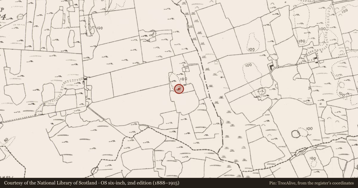 Ordnance Survey six-inch map, 2nd edition (1888–1915) covering the location of Ringfort - cashel, Ballynort, County Limerick, with a pin at the register's coordinates