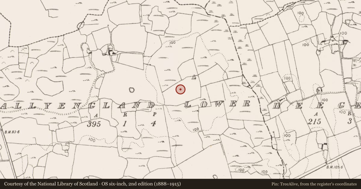 Ordnance Survey six-inch map, 2nd edition (1888–1915) covering the location of Ringfort - rath, Ballyengland Lower, County Limerick, with a pin at the register's coordinates