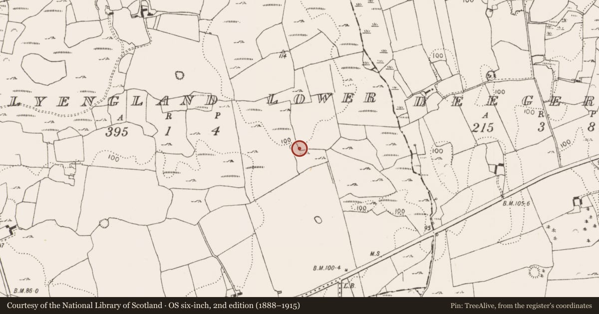 Ordnance Survey six-inch map, 2nd edition (1888–1915) covering the location of Ringfort - rath, Ballyengland Lower, County Limerick, with a pin at the register's coordinates