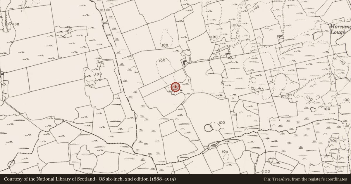 Ordnance Survey six-inch map, 2nd edition (1888–1915) covering the location of Ringfort - rath, Mornane, County Limerick, with a pin at the register's coordinates