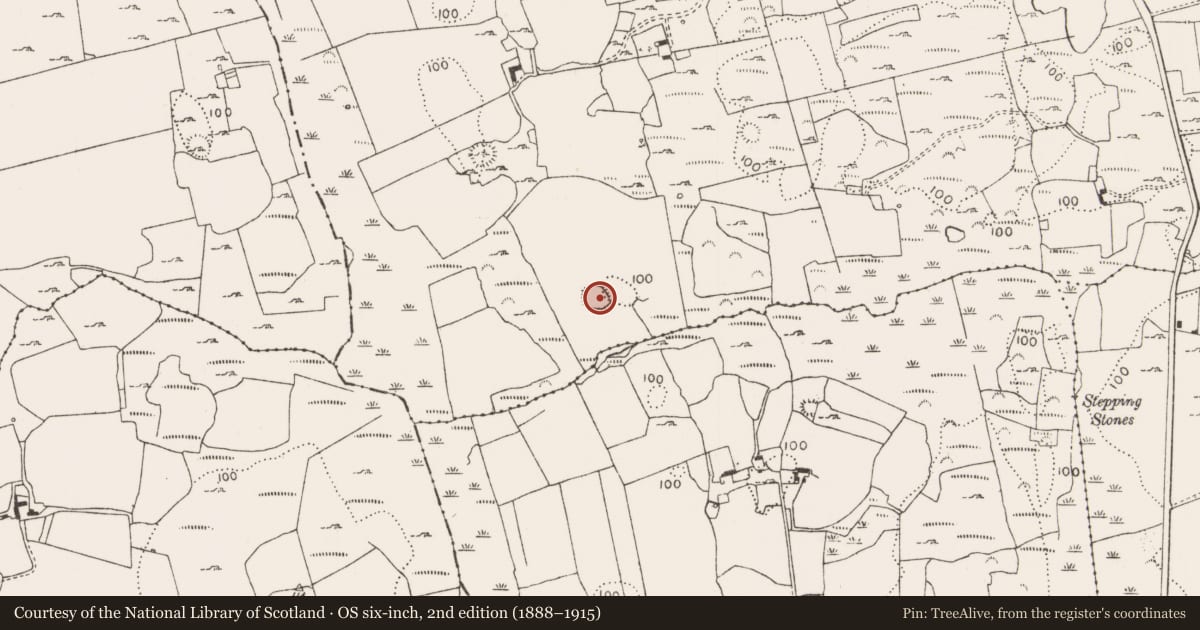Ordnance Survey six-inch map, 2nd edition (1888–1915) covering the location of Ringfort - rath, Mornane, County Limerick, with a pin at the register's coordinates
