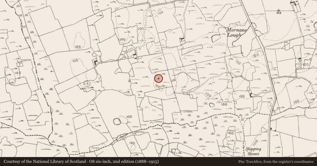 Ordnance Survey six-inch map, 2nd edition (1888–1915) covering the location of Ringfort - rath, Mornane, County Limerick, with a pin at the register's coordinates