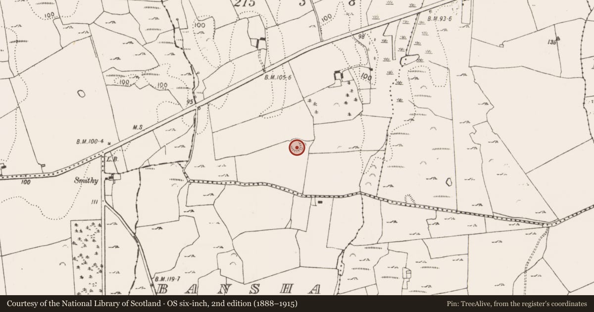 Ordnance Survey six-inch map, 2nd edition (1888–1915) covering the location of Enclosure, Deegerty, County Limerick, with a pin at the register's coordinates